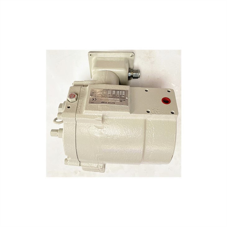 Pompe à rotor hydraulique RP23A1-37-30 RP23A2-37-30 RP23A3-37-30 RP23A2-22-30RC RP23A3-37-30RC RP23C11H-22-30 Pompe à huile